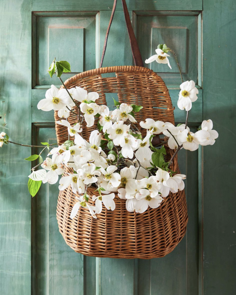 dogwood blooms in vintage creel basket hung on a green door