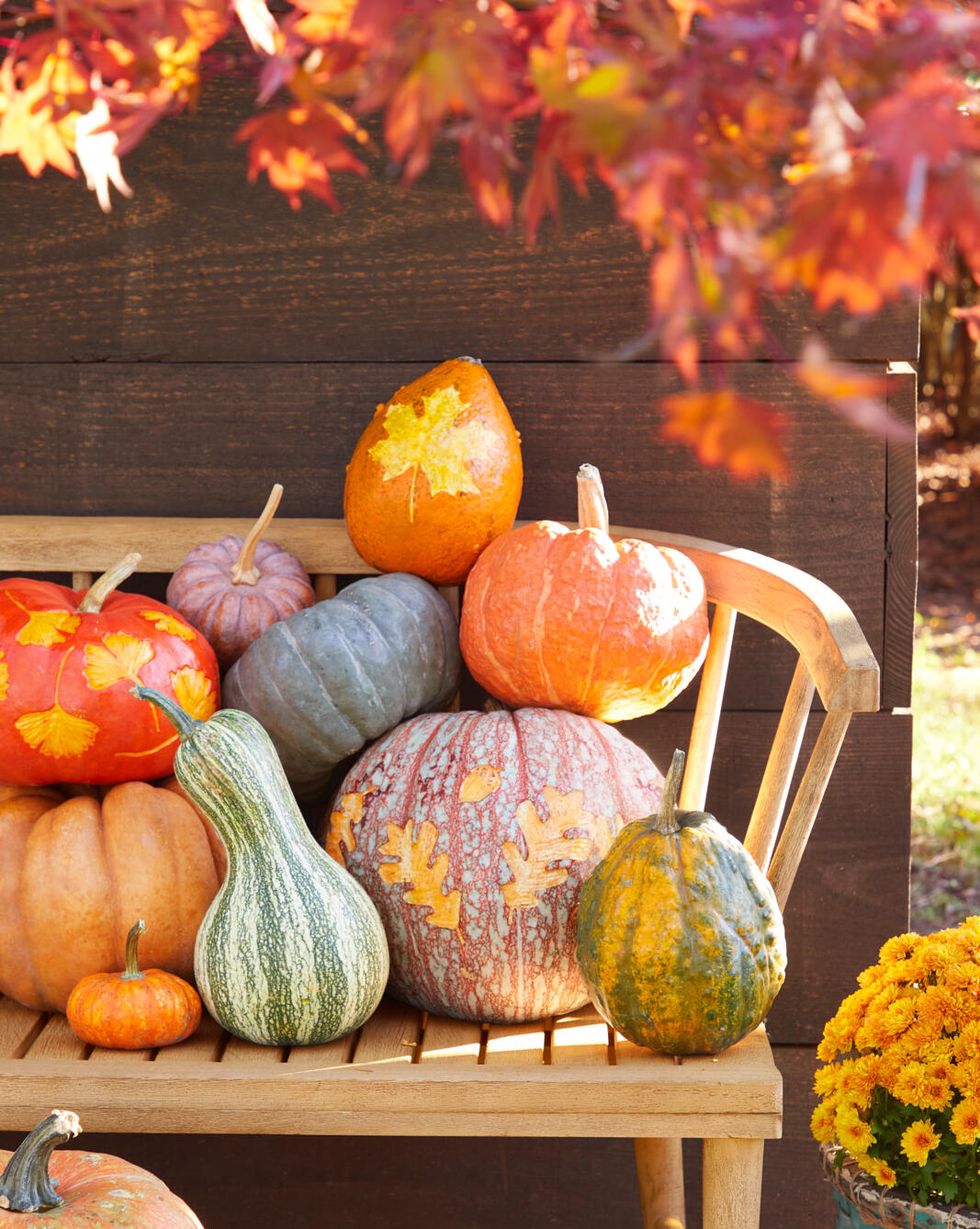 Easy thanksgiving crafts for adults: 4 ideas to recreate with your loved  ones this fall!