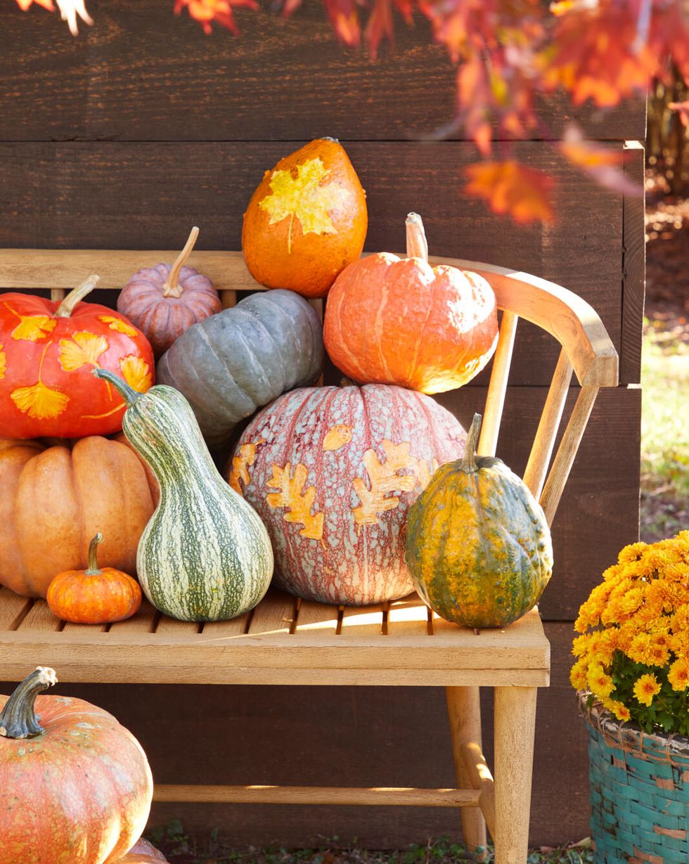 an assortment of pumpkins with etched leaves on one side layed out on a wood bench infrom of a brown barn wall