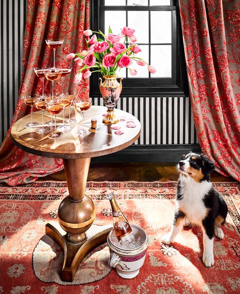 Red, Table, Interior design, Room, Pink, Canidae, Dog, Curtain, Tablecloth, Textile, 