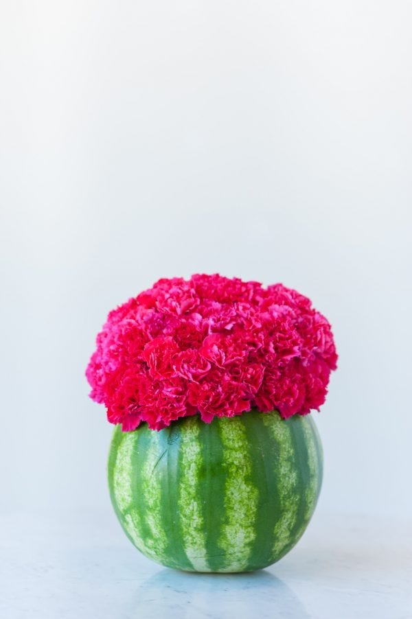 Pink, Green, Plant, Watermelon, Flower, Magenta, Floral design, Melon, Flowering plant, Cut flowers, 