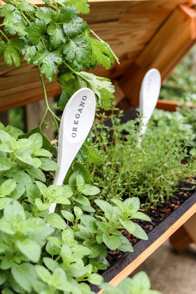 spoon garden markers