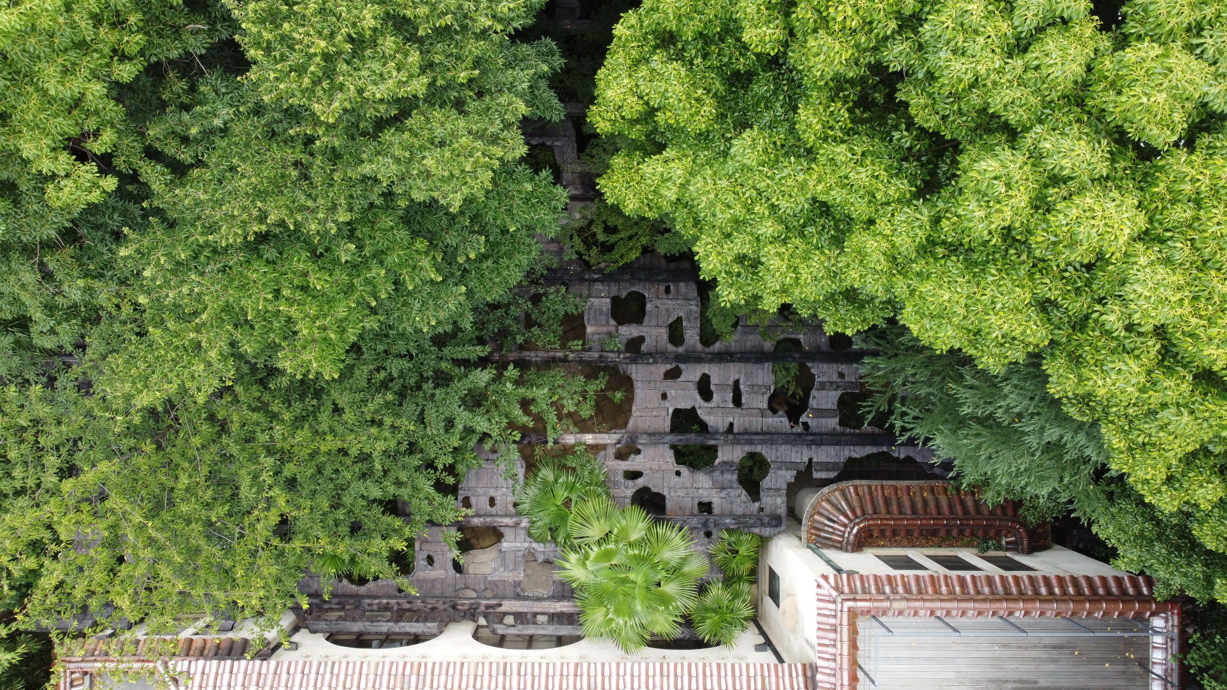 世界が注目する建築家・石上純也の代表作10選。斬新なデザインの