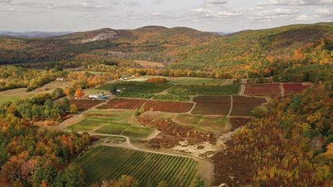 view of apple orchard in fall nestled between rolling hills