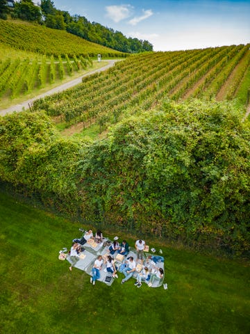 festival franciacorta in cantina