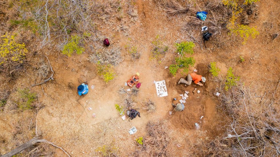 De vindplaats waar Mbiresaurus is gevonden die in het noorden van Zimbabwe op het grondgebied van het Dandevolk ligt is op deze foto uit 2019 te zien paleontologen Sterling Nesbitt en Kudzie Madzana zijn er met nauwgezette opgravingen bezig