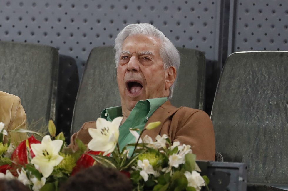 Mario Vargas Llosa