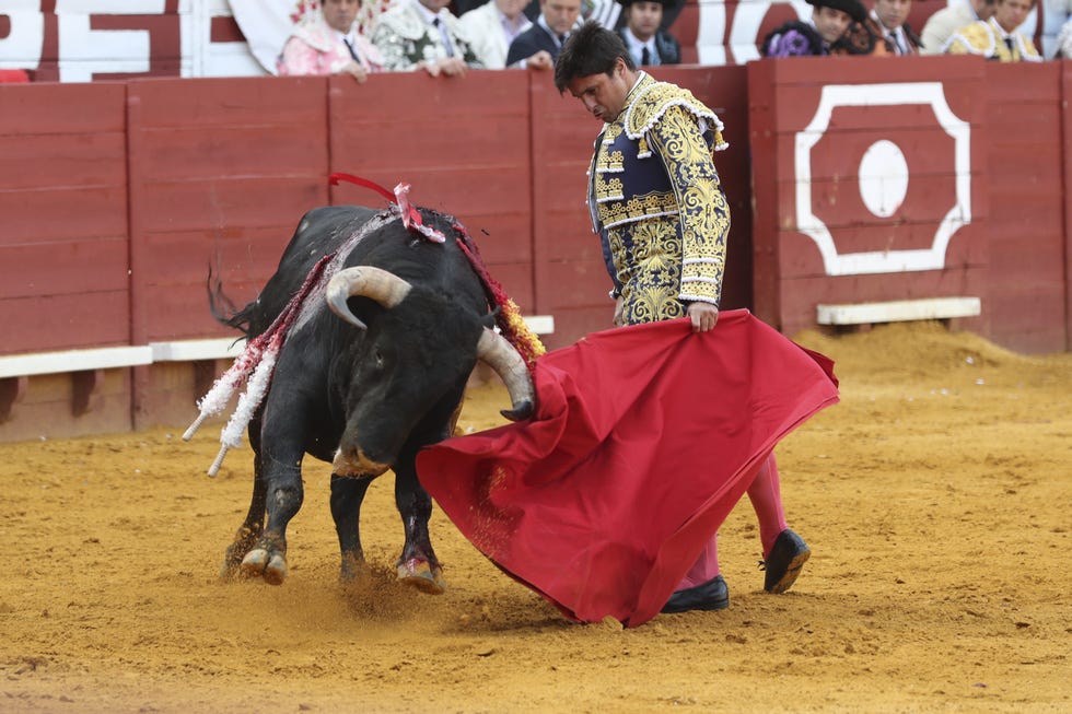 Fran Rivera Toreando
