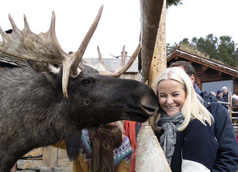 Mette-Marit de Noruega con un arce