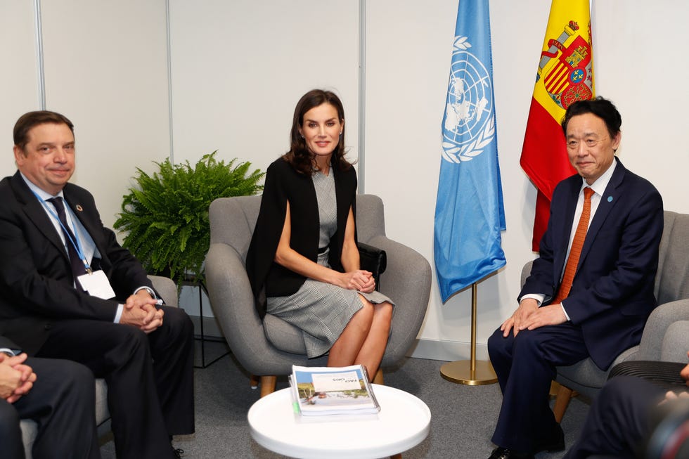 Letizia luce un vestido de Hugo Boss con estampado príncipe de Gales.