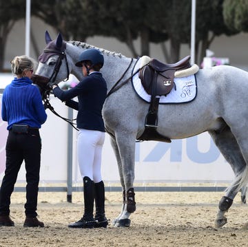 sira martinez y elena cullell