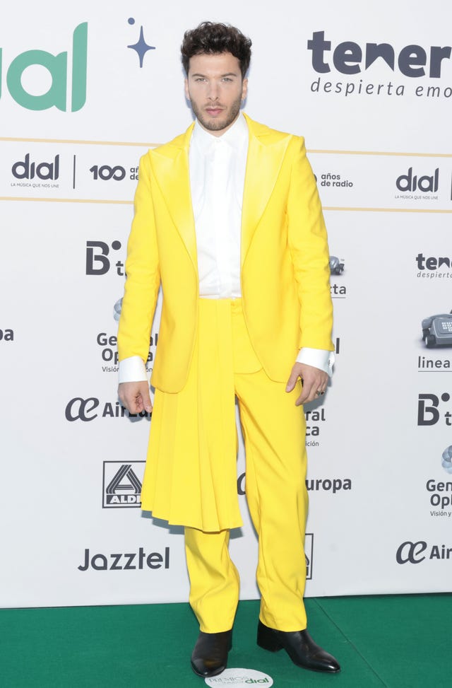 premios cadena dial