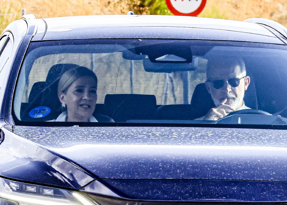 rey felipe vi infanta cristina