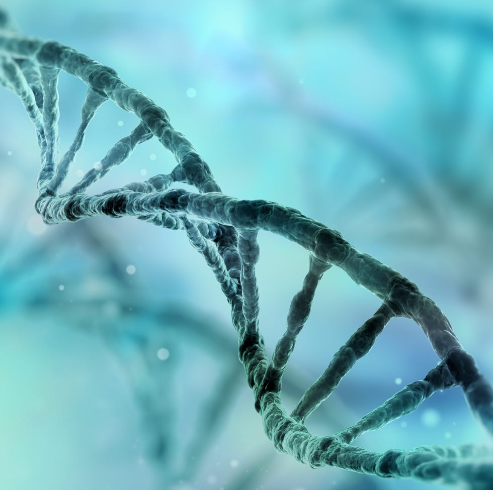 dna strand dna strand