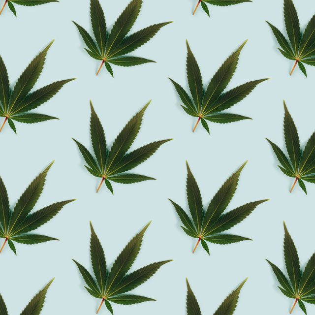 green leaf of marijuana pattern on light background pattern