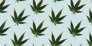 green leaf of marijuana pattern on light background pattern