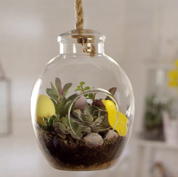 How to make an Easter terrarium