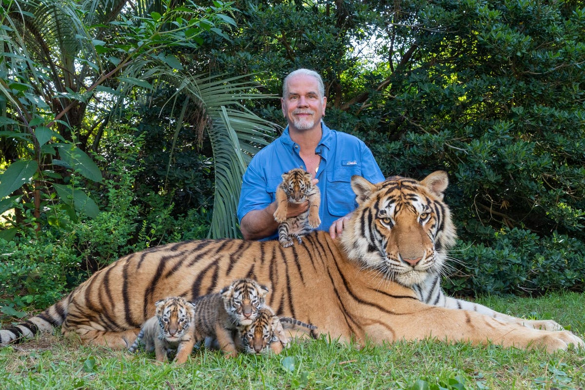 Bhagavan Doc Antle hier in 2018 poserend met tijgers in zijn dierenpark Myrtle Beach Safari is aangeklaagd voor het smokkelen en mishandelen van leeuwen