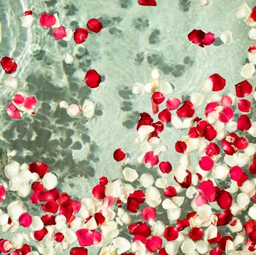 red and white rose petals floating in clear water bath with flower petals and salt romantic mood