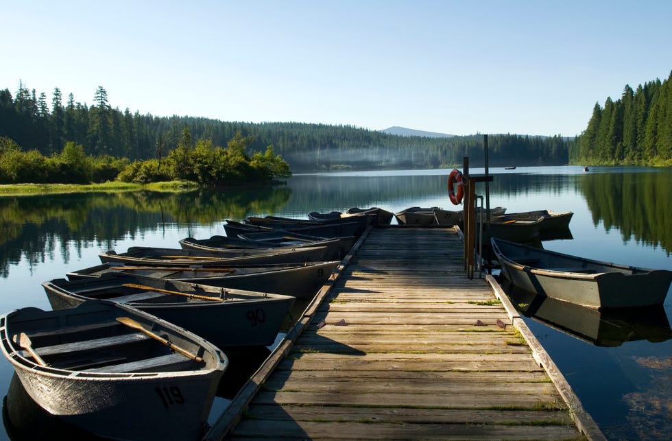 Docked row boats used for lake fishing docked row boats used for lake fishing
