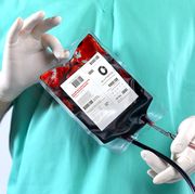 doctor holding blood bag
