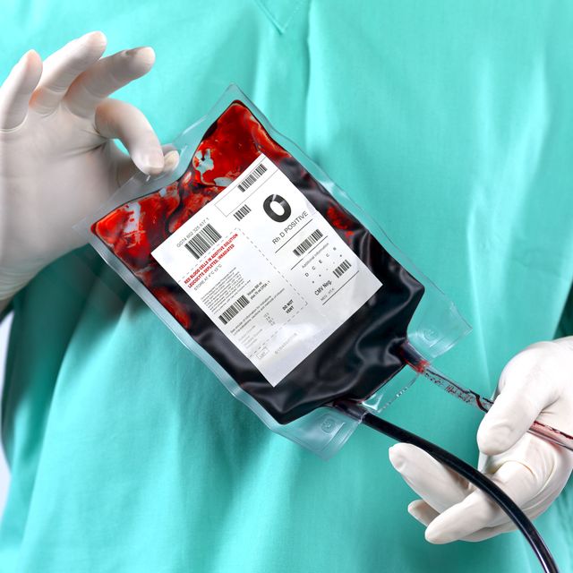 doctor nurse holding blood bag