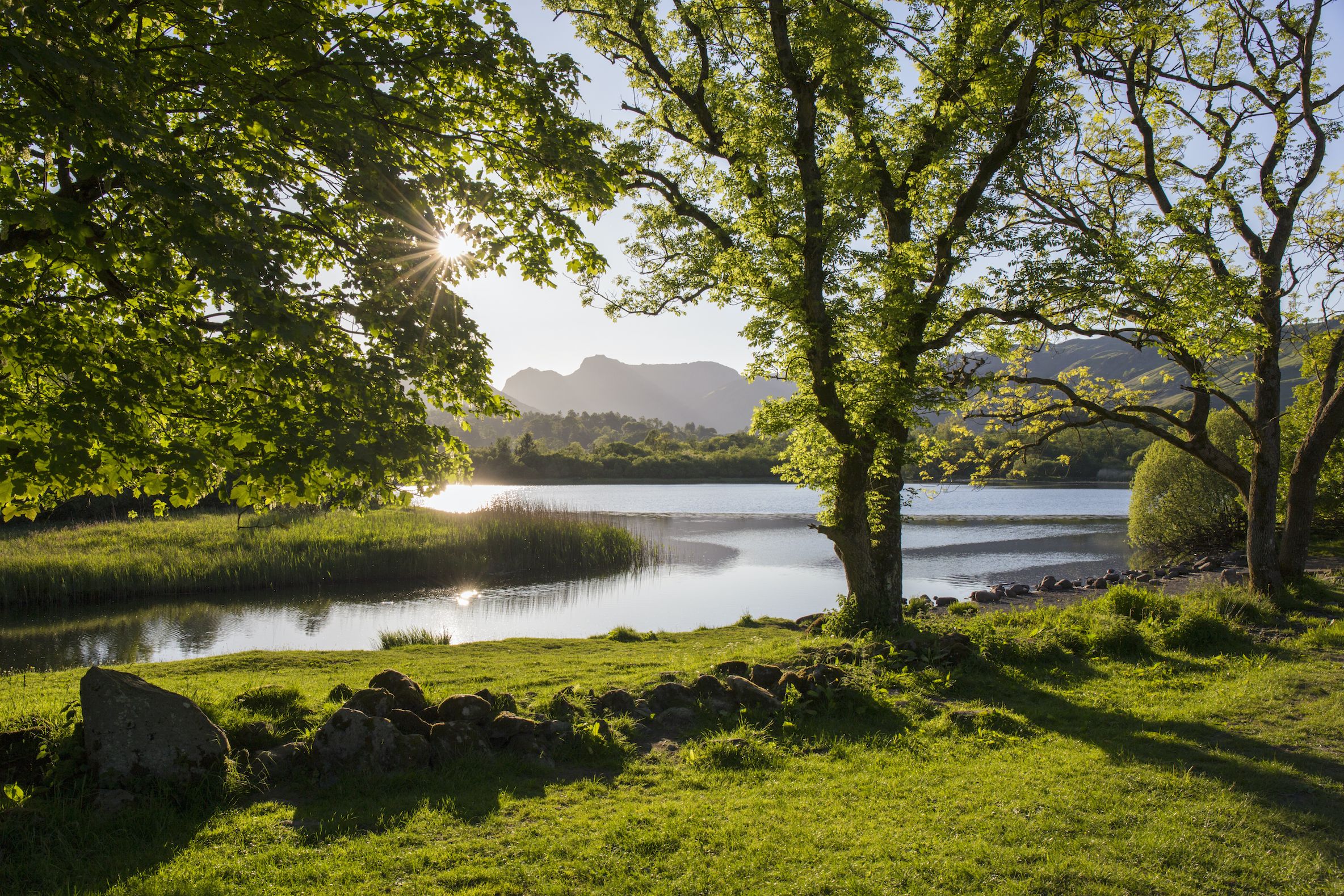 Doctors Are Now Officially Prescribing Nature To Patients