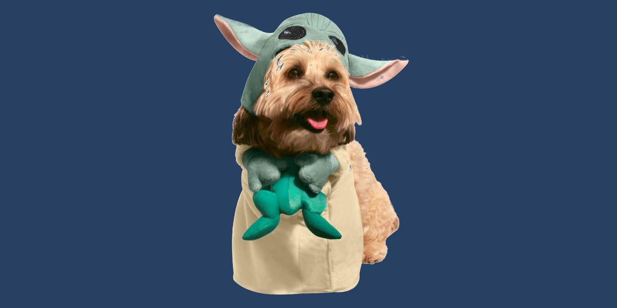 Your dog can be Baby Yoda for Halloween in this costume from PetSmart 