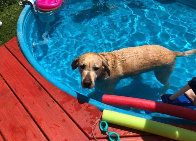 Diy Stock Tank Pool 