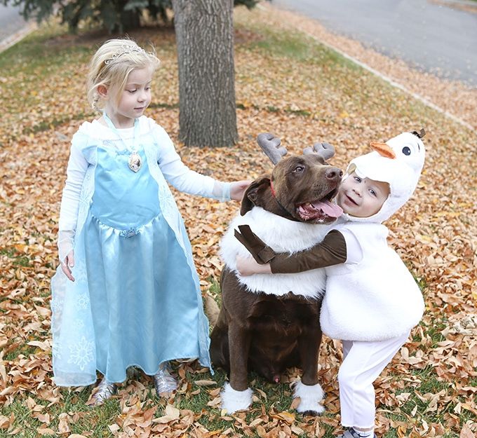 mom and dog halloween costumes