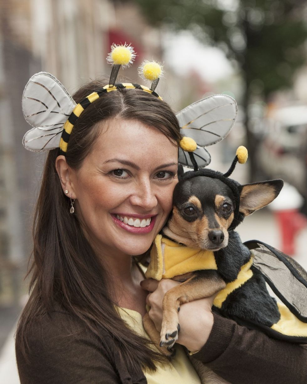 10 Ridiculously Cute Dog Halloween Costumes