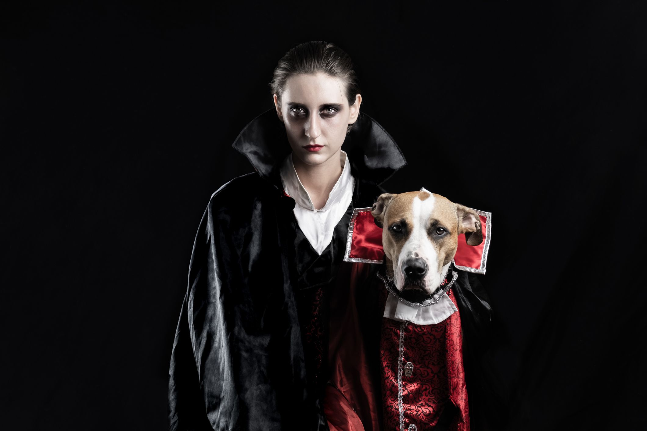 Dog vampire costume best sale