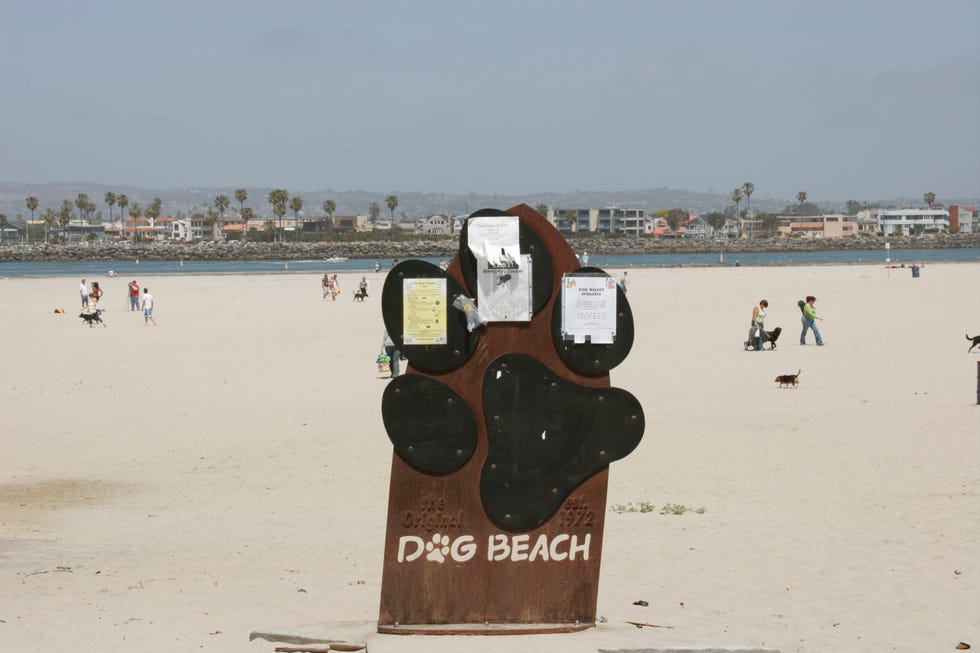 dog beach, ocean beach, san diego, california