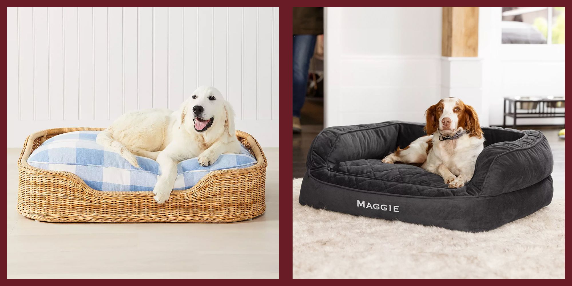 Healthy dog fashion beds