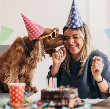 dog birthday party ideas, woman and dog celebrating pup's birthday with a cake