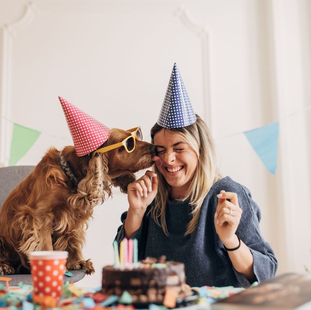 20 Best Dog Birthday Party Ideas of 2024