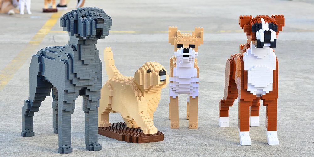 Can Build Your Own Life-Size Dog With These