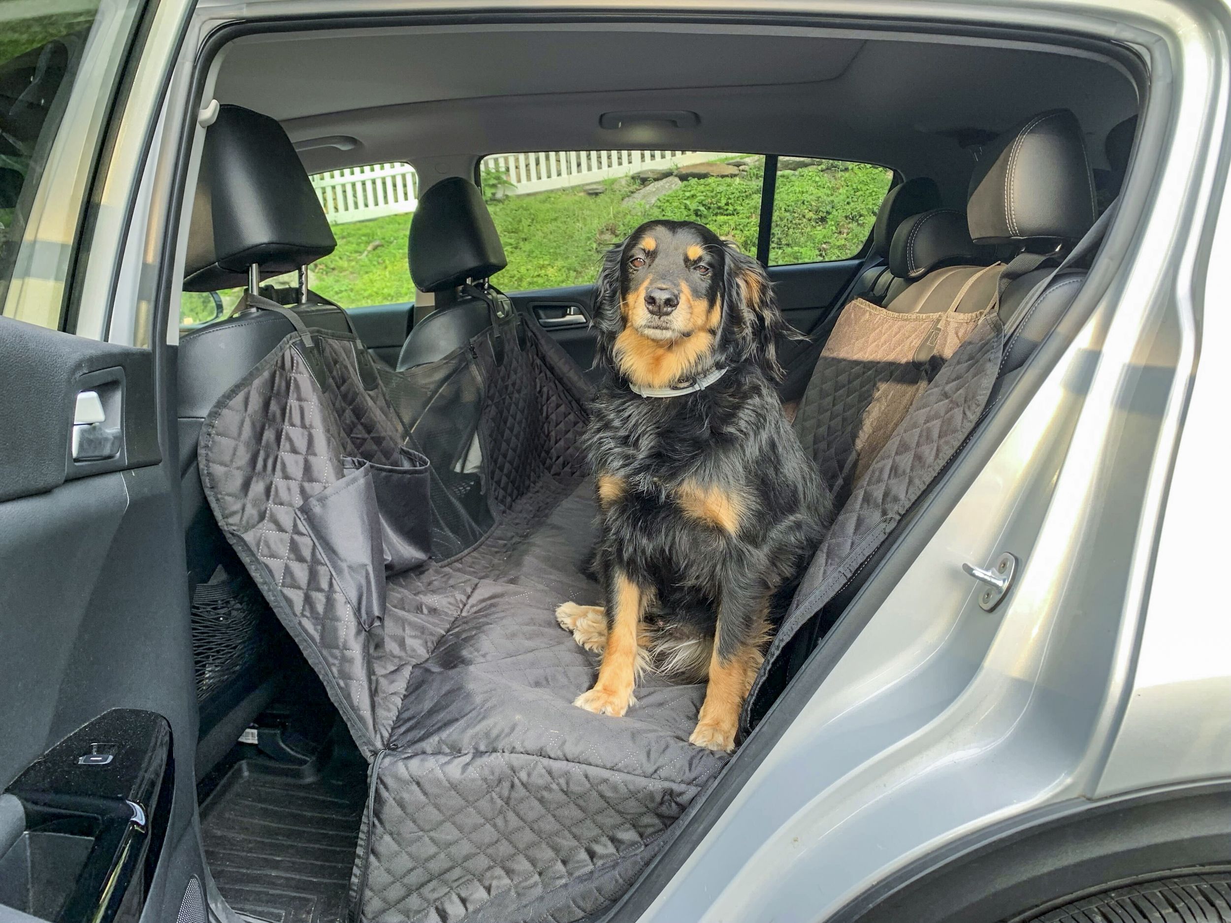 12 Best Dog Car Seat Covers