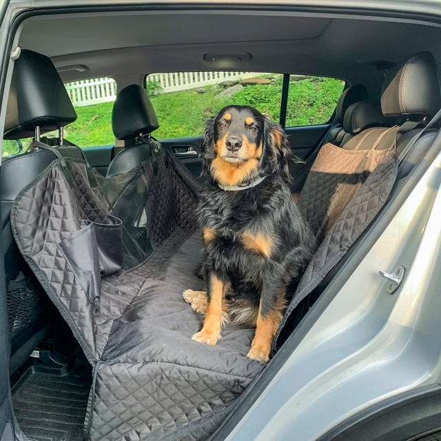 dog car seat covers