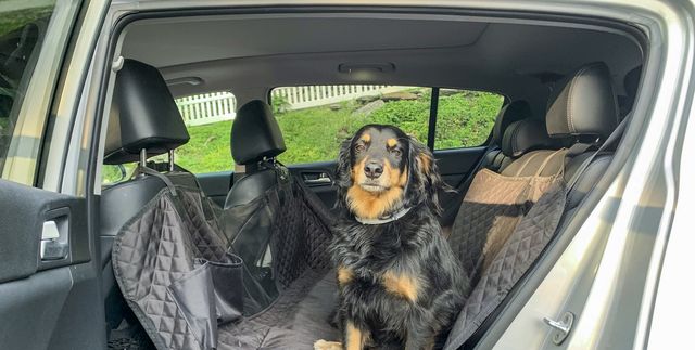 Car seat cover for dogs - dark green - Car covers - Electric-Collars.com