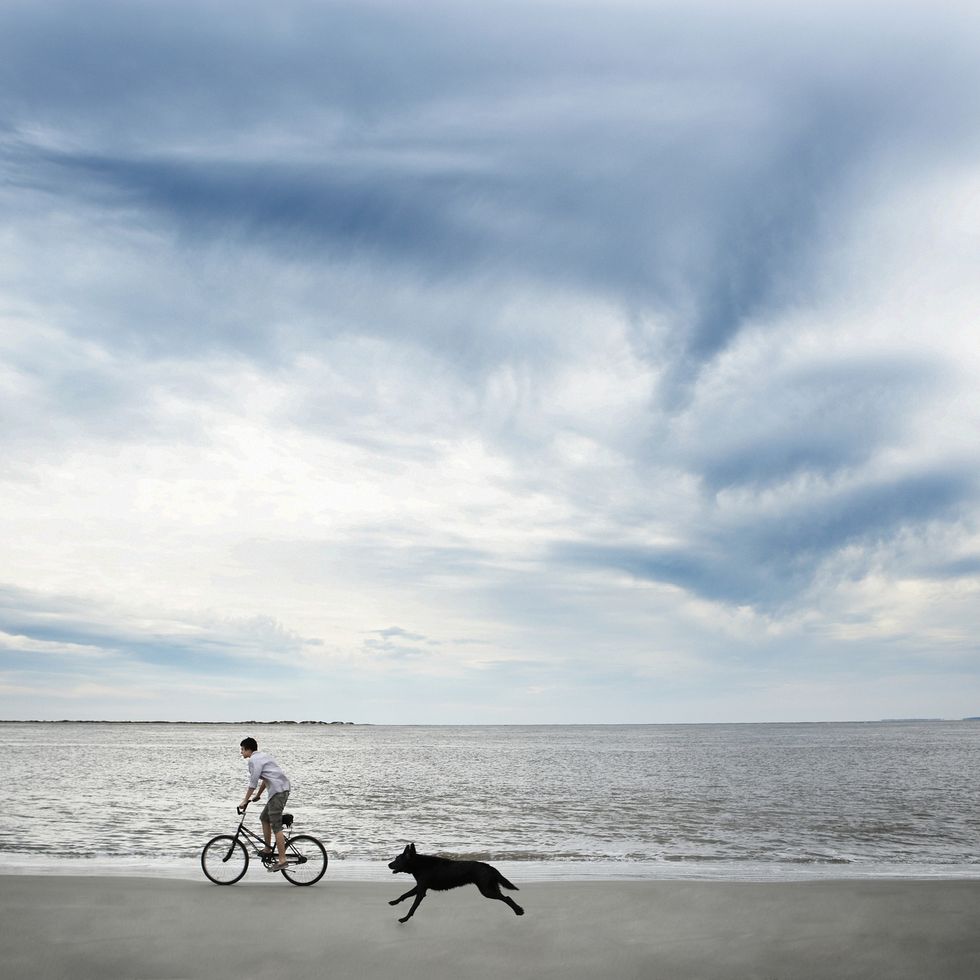 dog chasing after boy 14 15 riding bike along beach, side view