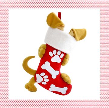 dog christmas stockings