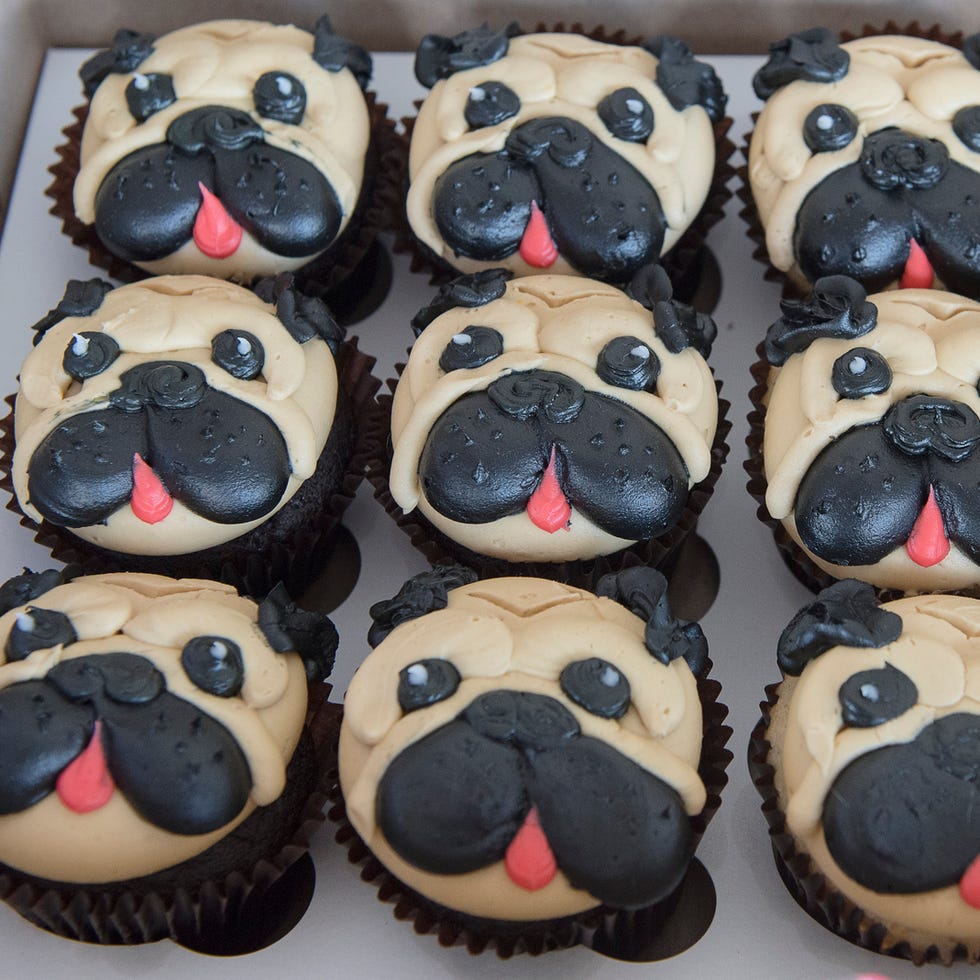 Dog Cupcakes Shaped like Pug Heads dog cupcakes shaped like pug heads