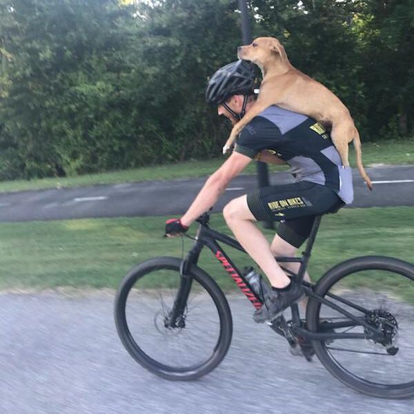 Cyclist Rescues Puppy