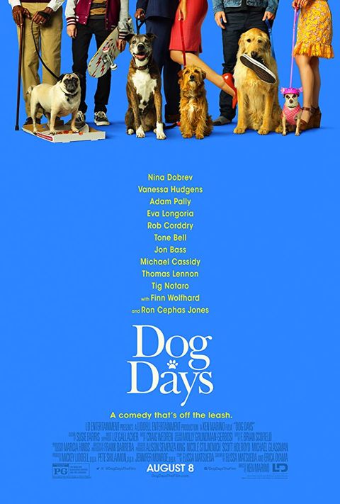 Animal And Girl S Blue Moue - 20+ Best Dog Movies to Watch - Best Movies About Dogs to Stream