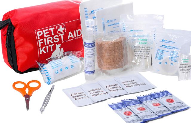 dog first aid kit