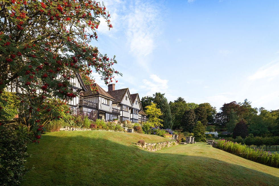 Dog friendly hotels UK dog friendly hotels uk