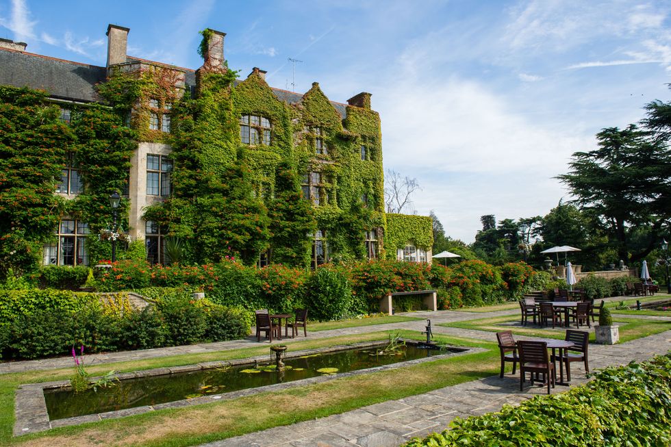 980px x 653px - 21 best dog-friendly hotels in the UK for 2024