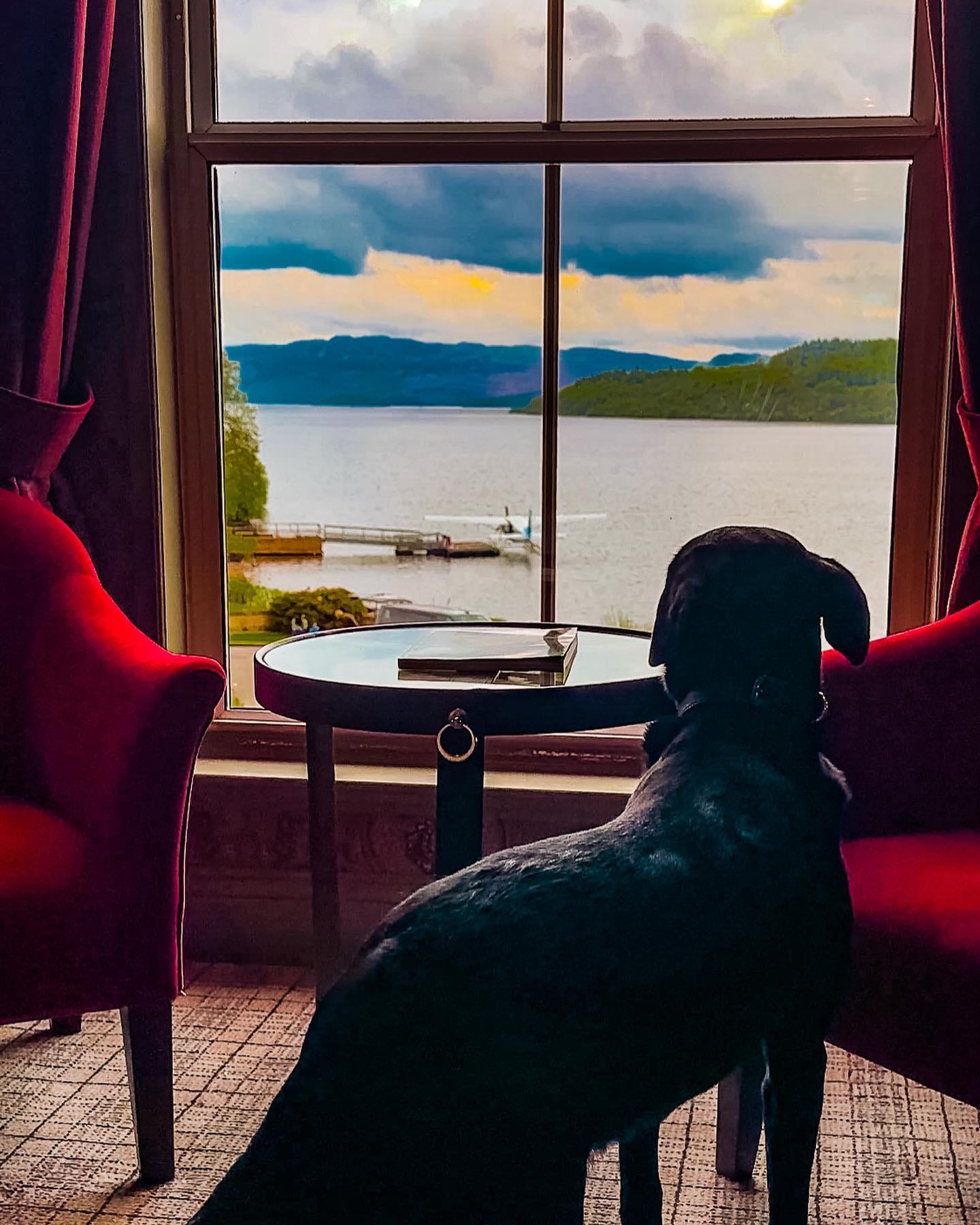 dog friendly hotels uk