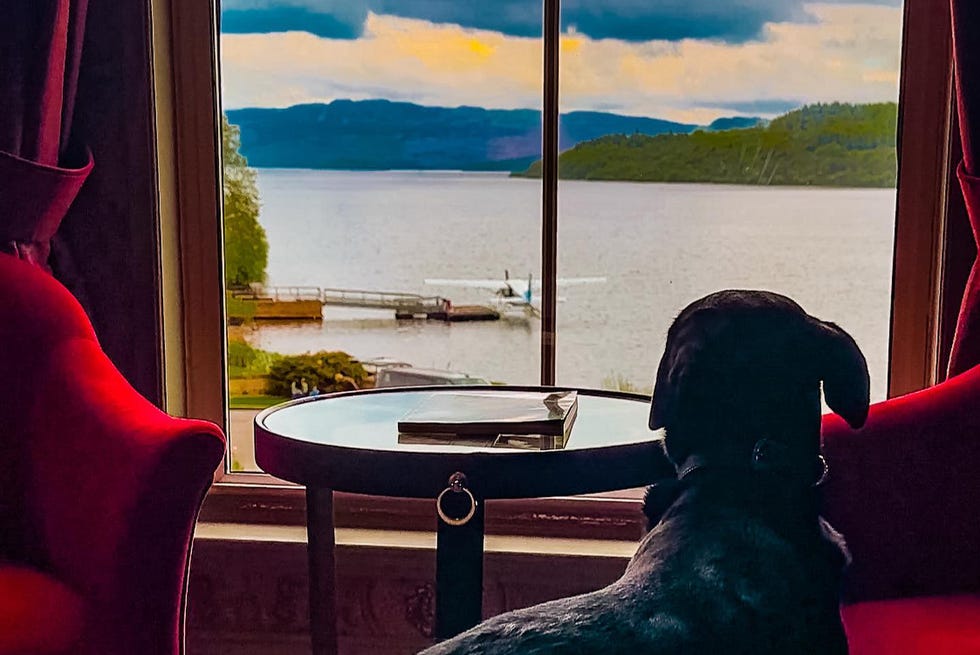 Cameron House dog friendly hotels uk